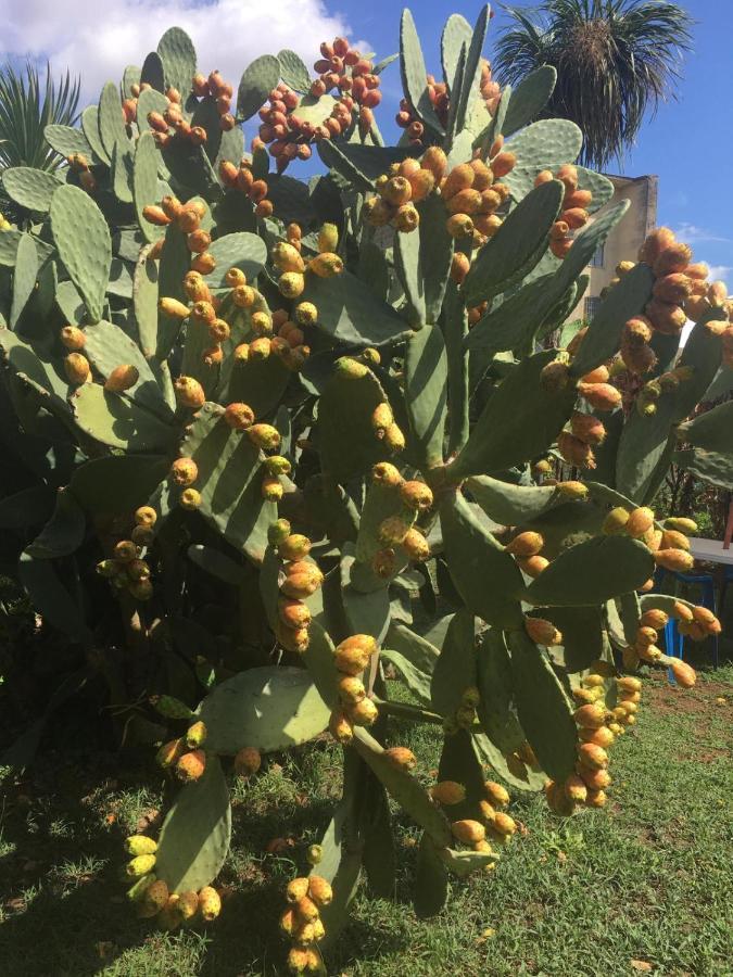 Il Giardino Degli Agrumi Caserta Exterior foto