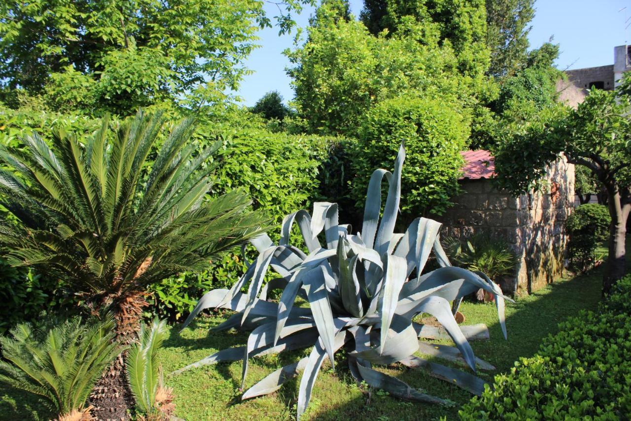 Il Giardino Degli Agrumi Caserta Exterior foto