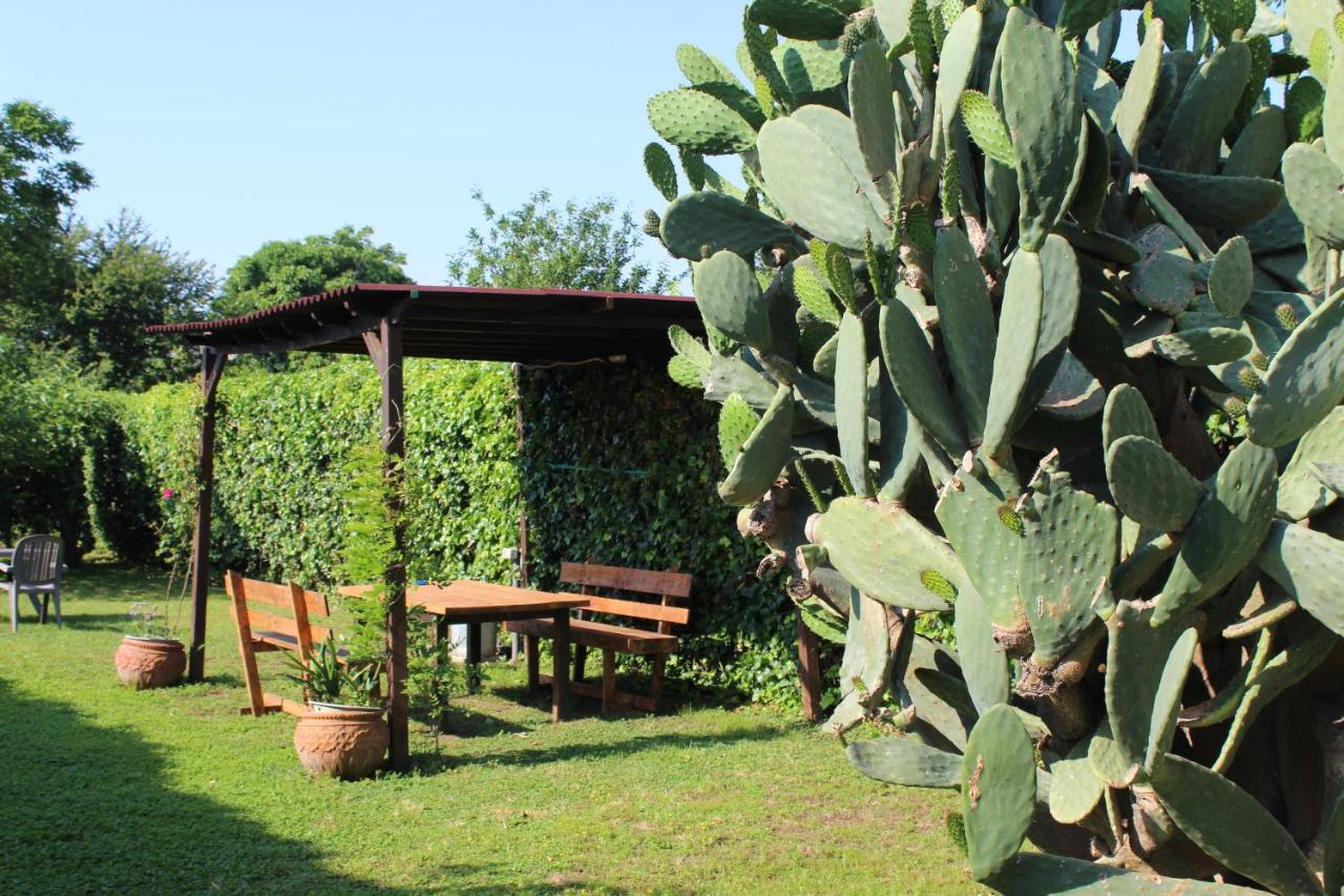 Il Giardino Degli Agrumi Caserta Exterior foto