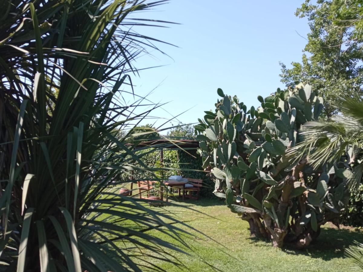 Il Giardino Degli Agrumi Caserta Exterior foto