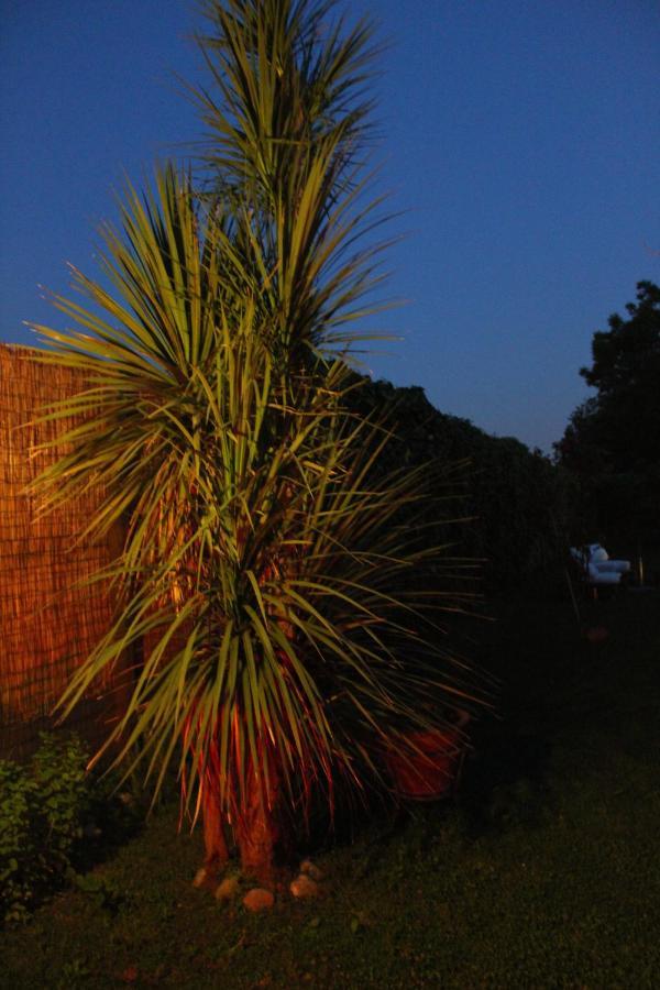Il Giardino Degli Agrumi Caserta Exterior foto