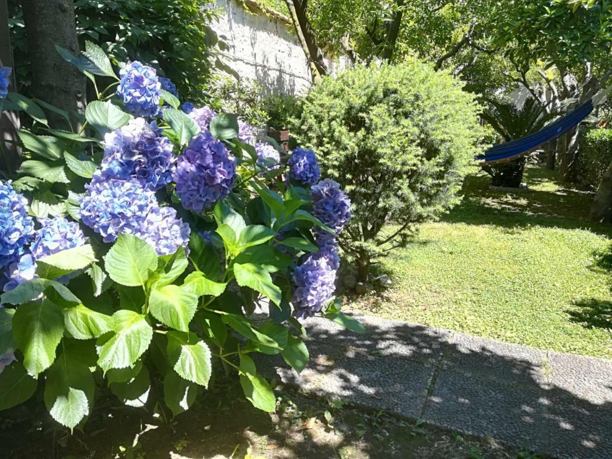 Il Giardino Degli Agrumi Caserta Exterior foto