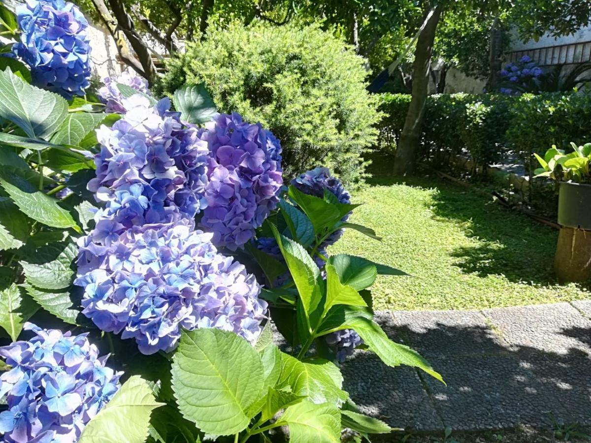 Il Giardino Degli Agrumi Caserta Exterior foto